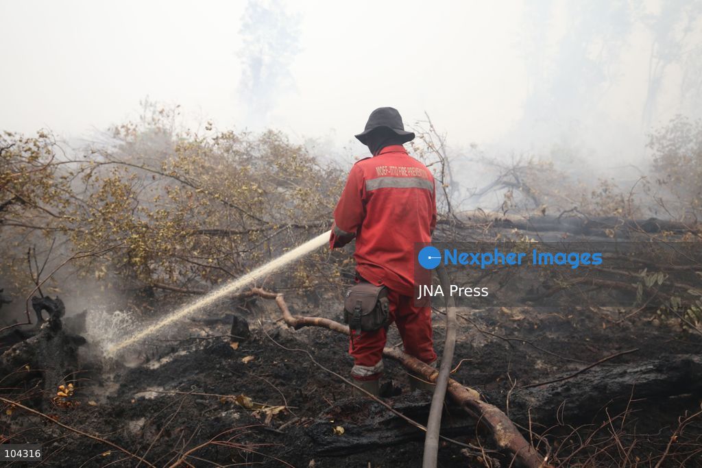 PALANGKA RAYA, CENTRAL KALIMANTAN, INDONESIA, OCTOBER 11, 2026: Members of Indonesia's Manggala Agni forest fire brigade work to extinguish a forest fire in the Sebangau area of Palangka Raya, Central Kalimantan. The firefighting team has been responding to fires affecting forests and community land in the region during the dry season. Photo by Regina Safri / JNA Press. (Photo by Regina Safri/JNA Press via Nexpher Images)
