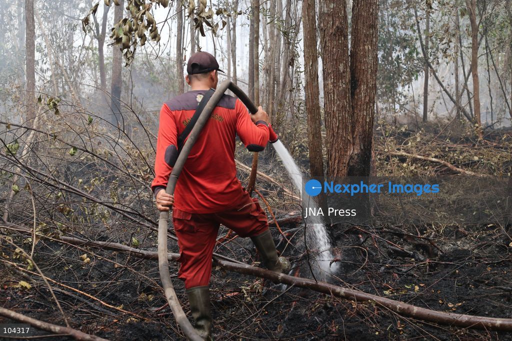PALANGKA RAYA, CENTRAL KALIMANTAN, INDONESIA, OCTOBER 11, 2026: Members of Indonesia's Manggala Agni forest fire brigade work to extinguish a forest fire in the Sebangau area of Palangka Raya, Central Kalimantan. The firefighting team has been responding to fires affecting forests and community land in the region during the dry season. Photo by Regina Safri / JNA Press. (Photo by Regina Safri/JNA Press via Nexpher Images)