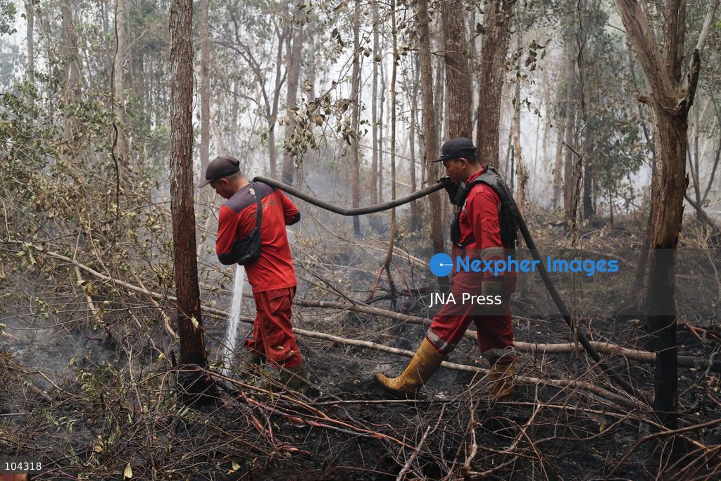 PALANGKA RAYA, CENTRAL KALIMANTAN, INDONESIA, OCTOBER 11, 2026: Members of Indonesia's Manggala Agni forest fire brigade work to extinguish a forest fire in the Sebangau area of Palangka Raya, Central Kalimantan. The firefighting team has been responding to fires affecting forests and community land in the region during the dry season. Photo by Regina Safri / JNA Press. (Photo by Regina Safri/JNA Press via Nexpher Images)