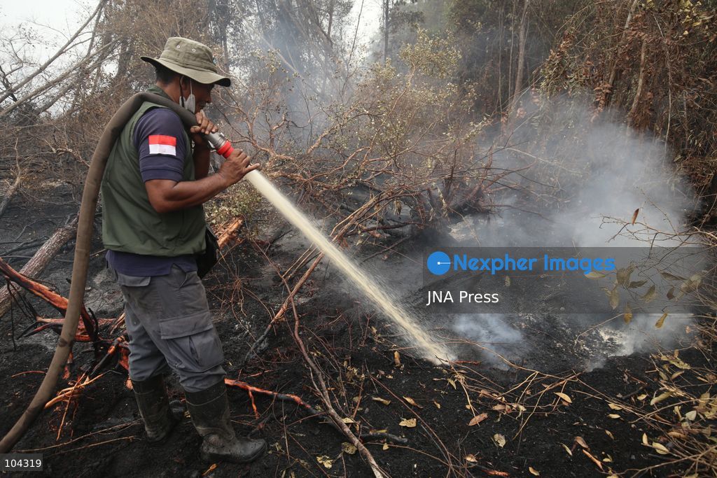 PALANGKA RAYA, CENTRAL KALIMANTAN, INDONESIA, OCTOBER 11, 2026: Members of Indonesia's Manggala Agni forest fire brigade work to extinguish a forest fire in the Sebangau area of Palangka Raya, Central Kalimantan. The firefighting team has been responding to fires affecting forests and community land in the region during the dry season. Photo by Regina Safri / JNA Press. (Photo by Regina Safri/JNA Press via Nexpher Images)