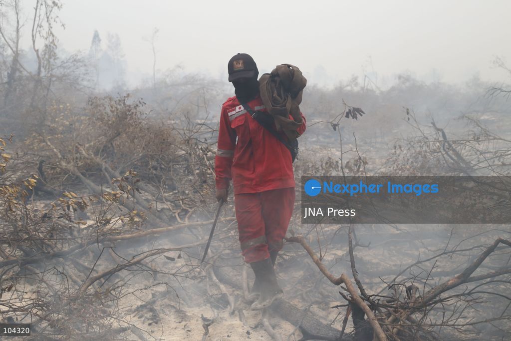 PALANGKA RAYA, CENTRAL KALIMANTAN, INDONESIA, OCTOBER 11, 2026: Members of Indonesia's Manggala Agni forest fire brigade work to extinguish a forest fire in the Sebangau area of Palangka Raya, Central Kalimantan. The firefighting team has been responding to fires affecting forests and community land in the region during the dry season. Photo by Regina Safri / JNA Press. (Photo by Regina Safri/JNA Press via Nexpher Images)