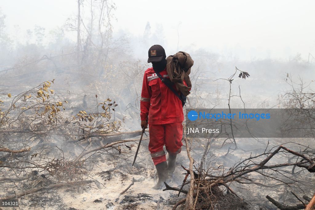 PALANGKA RAYA, CENTRAL KALIMANTAN, INDONESIA, OCTOBER 11, 2026: Members of Indonesia's Manggala Agni forest fire brigade work to extinguish a forest fire in the Sebangau area of Palangka Raya, Central Kalimantan. The firefighting team has been responding to fires affecting forests and community land in the region during the dry season. Photo by Regina Safri / JNA Press. (Photo by Regina Safri/JNA Press via Nexpher Images)