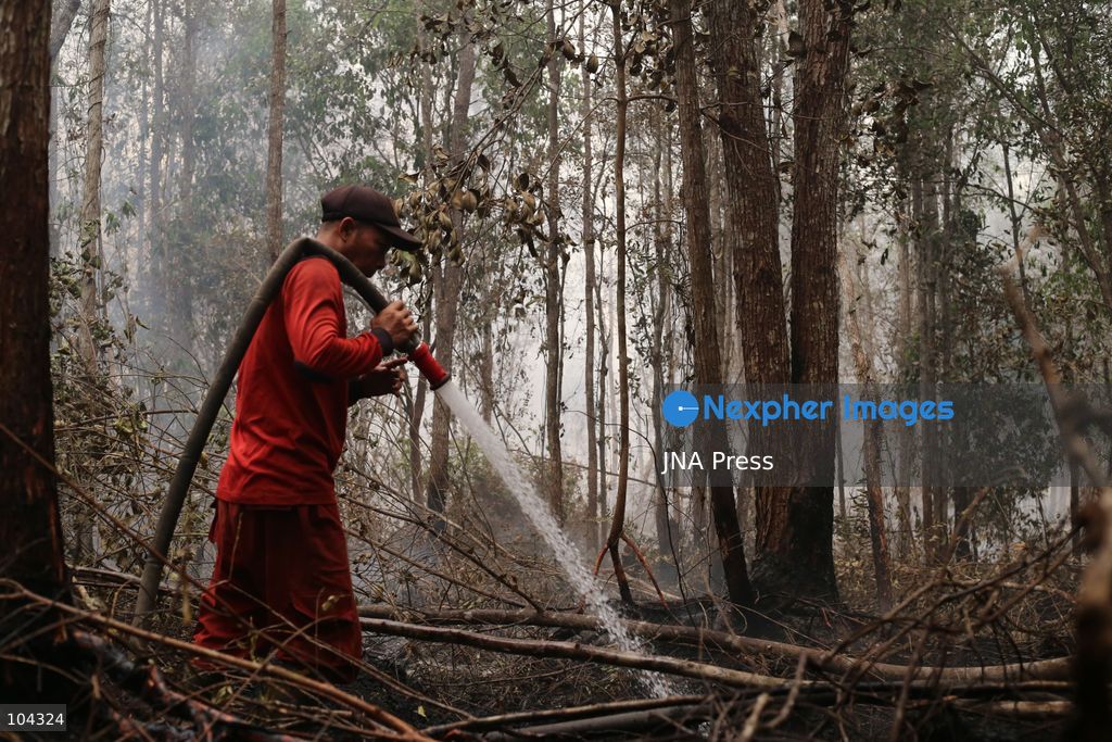 PALANGKA RAYA, CENTRAL KALIMANTAN, INDONESIA, OCTOBER 11, 2026: Members of Indonesia's Manggala Agni forest fire brigade work to extinguish a forest fire in the Sebangau area of Palangka Raya, Central Kalimantan. The firefighting team has been responding to fires affecting forests and community land in the region during the dry season. Photo by Regina Safri / JNA Press. (Photo by Regina Safri/JNA Press via Nexpher Images)