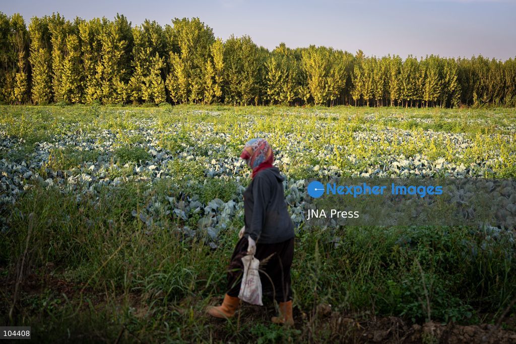 DIYARBAKIR, TURKIYE, OCTOBER 11, 2026: A view of the Hevsel Gardens in Diyarbakir, southeastern Turkiye. The gardens form part of the Diyarbakir Fortress and Hevsel Gardens Cultural Landscape, inscribed on UNESCO's World Heritage List in 2015. Photo by Ardil Batmaz / JNA Press. (Photo by Ardıl Batmaz/JNA Press via Nexpher Images)