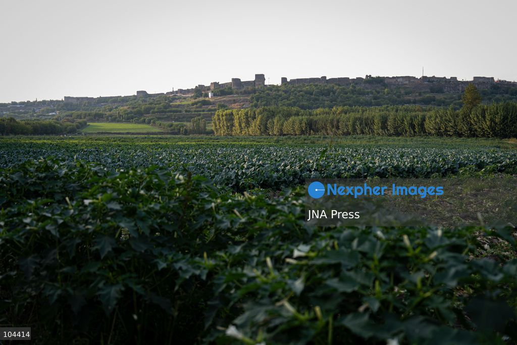 DIYARBAKIR, TURKIYE, OCTOBER 11, 2026: A view of the Hevsel Gardens in Diyarbakir, southeastern Turkiye. The gardens form part of the Diyarbakir Fortress and Hevsel Gardens Cultural Landscape, inscribed on UNESCO's World Heritage List in 2015. Photo by Ardil Batmaz / JNA Press. (Photo by Ardıl Batmaz/JNA Press via Nexpher Images)