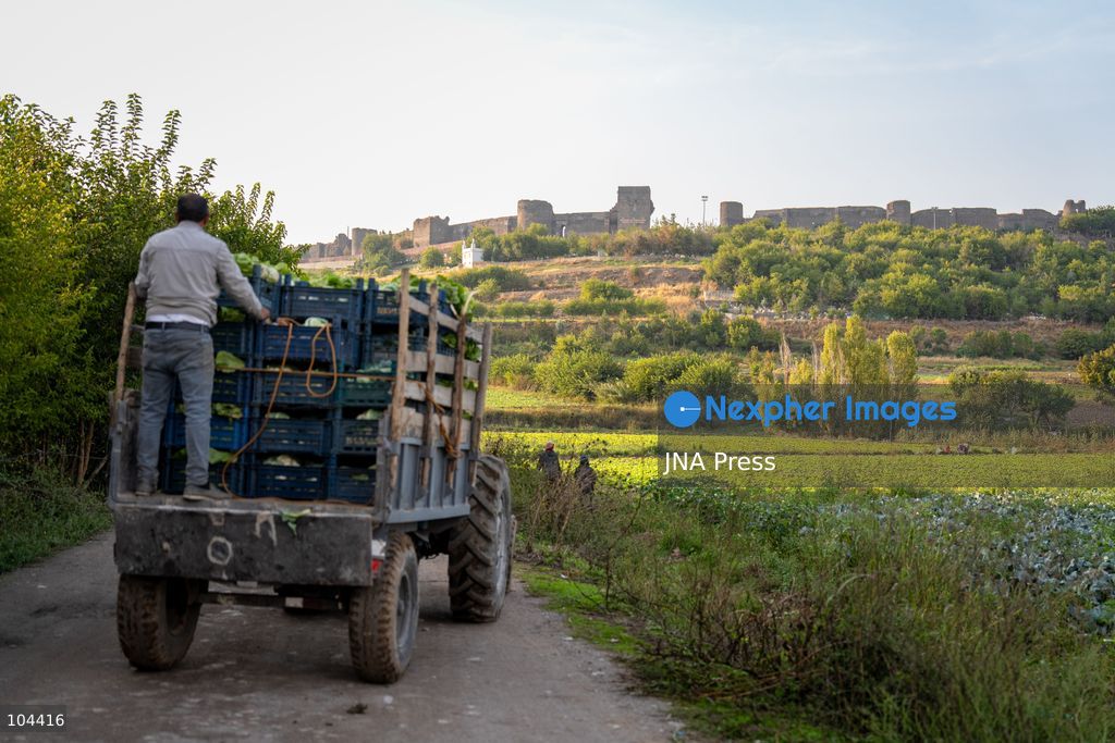DIYARBAKIR, TURKIYE, OCTOBER 11, 2026: A view of the Hevsel Gardens in Diyarbakir, southeastern Turkiye. The gardens form part of the Diyarbakir Fortress and Hevsel Gardens Cultural Landscape, inscribed on UNESCO's World Heritage List in 2015. Photo by Ardil Batmaz / JNA Press. (Photo by Ardıl Batmaz/JNA Press via Nexpher Images)