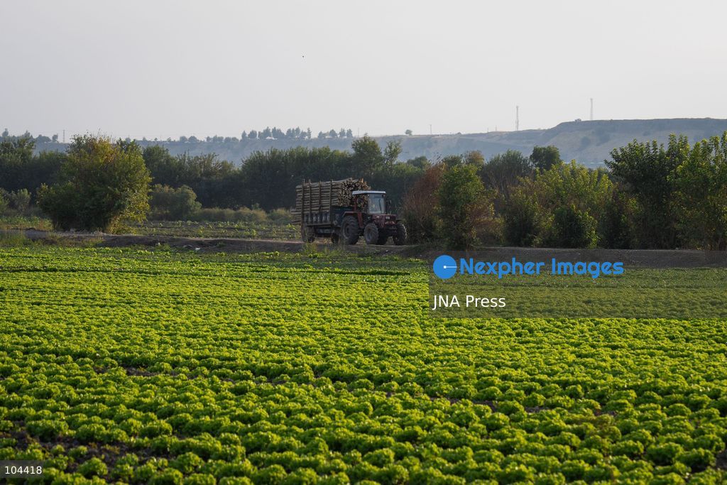 DIYARBAKIR, TURKIYE, OCTOBER 11, 2026: A view of the Hevsel Gardens in Diyarbakir, southeastern Turkiye. The gardens form part of the Diyarbakir Fortress and Hevsel Gardens Cultural Landscape, inscribed on UNESCO's World Heritage List in 2015. Photo by Ardil Batmaz / JNA Press. (Photo by Ardıl Batmaz/JNA Press via Nexpher Images)