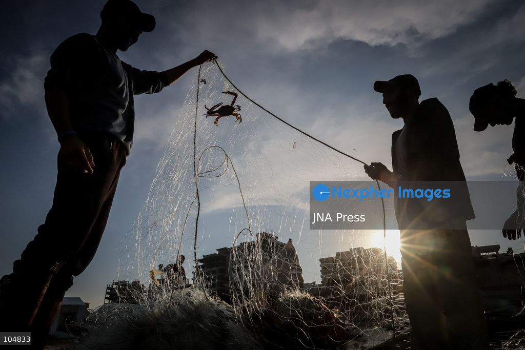 GAZA, PALESTINE, OCTOBER 13, 2026: Palestinian fishermen remove crabs from their fishing nets at Gaza City's seaport as they work to earn their daily livelihood. Photo by Mohammed M. Skaik / JNA Press (Photo by Mohammed M Skaik/JNA Press via Nexpher Images)