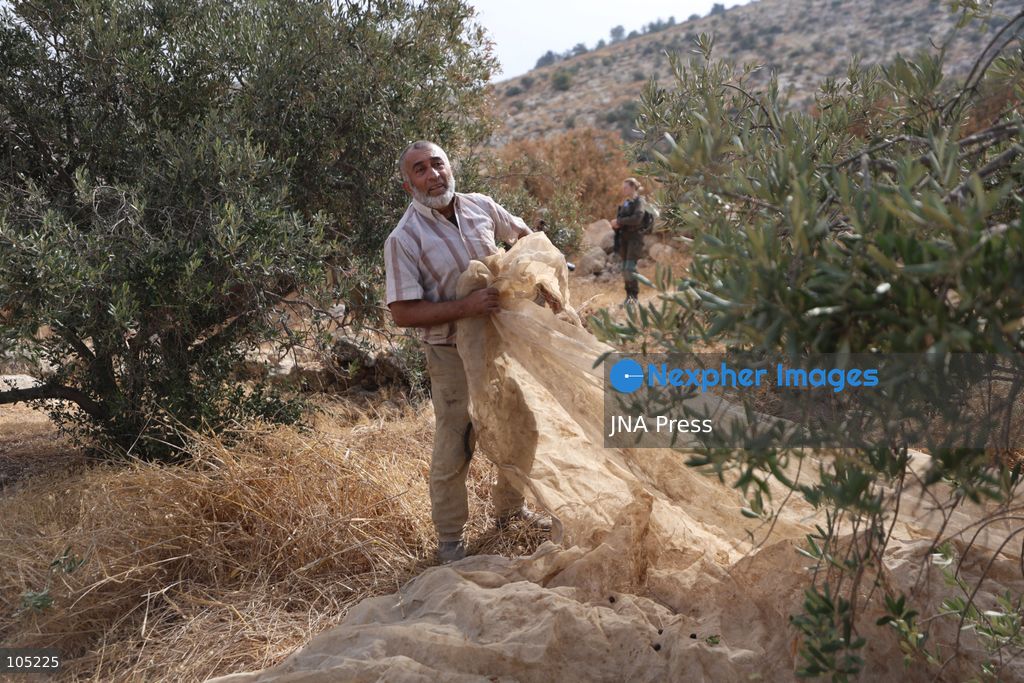 IDHNA, WEST BANK, PALESTINE, OCTOBER 13, 2026: Israeli soldiers and settlers prevent Palestinians and activists from harvesting olives in Idhna, west of Hebron, in the occupied West Bank. Israeli forces order the harvesters and activists to leave the area. Photo by Mosab Shawer / JNA Press. (Photo by Mosab shawer/JNA Press via Nexpher Images)