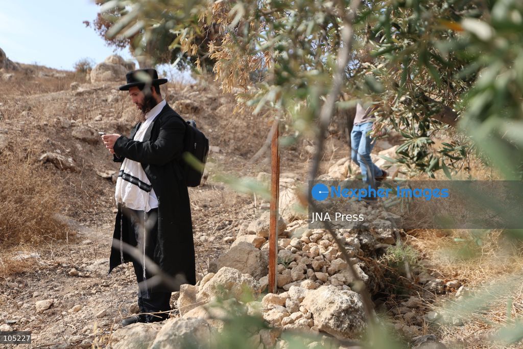 IDHNA, WEST BANK, PALESTINE, OCTOBER 13, 2026: Israeli soldiers and settlers prevent Palestinians and activists from harvesting olives in Idhna, west of Hebron, in the occupied West Bank. Israeli forces order the harvesters and activists to leave the area. Photo by Mosab Shawer / JNA Press. (Photo by Mosab shawer/JNA Press via Nexpher Images)