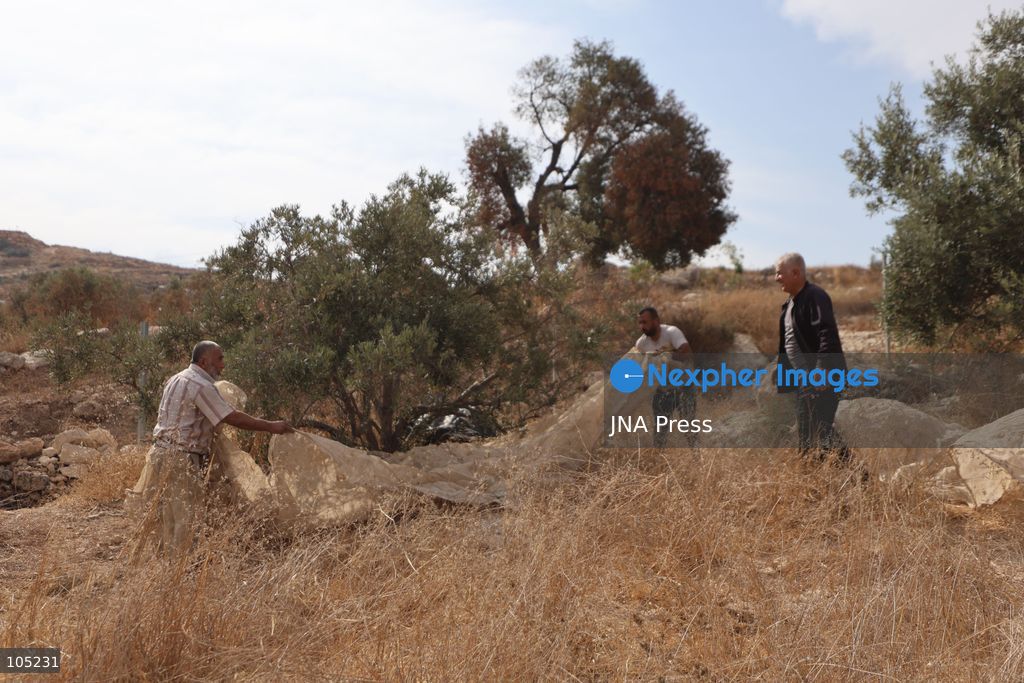 IDHNA, WEST BANK, PALESTINE, OCTOBER 13, 2026: Israeli soldiers and settlers prevent Palestinians and activists from harvesting olives in Idhna, west of Hebron, in the occupied West Bank. Israeli forces order the harvesters and activists to leave the area. Photo by Mosab Shawer / JNA Press. (Photo by Mosab shawer/JNA Press via Nexpher Images)