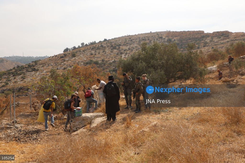 IDHNA, WEST BANK, PALESTINE, OCTOBER 13, 2026: Israeli soldiers and settlers prevent Palestinians and activists from harvesting olives in Idhna, west of Hebron, in the occupied West Bank. Israeli forces order the harvesters and activists to leave the area. Photo by Mosab Shawer / JNA Press. (Photo by Mosab shawer/JNA Press via Nexpher Images)