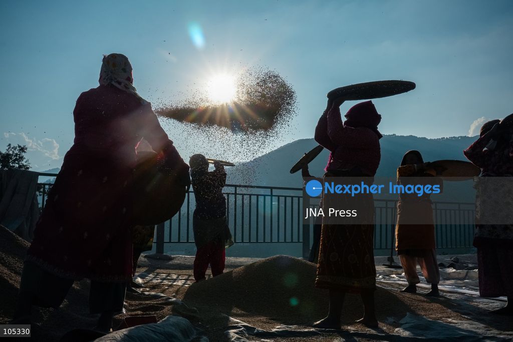 LALITPUR, NEPAL, OCTOBER 13, 2026: Farmers dry newly harvested paddy in the sun and clean the grains using traditional methods in Lalitpur, in the Kathmandu Valley. Photo by Ambir Tolang / JNA Press. (Photo by Ambir Tolang/JNA Press via Nexpher Images)