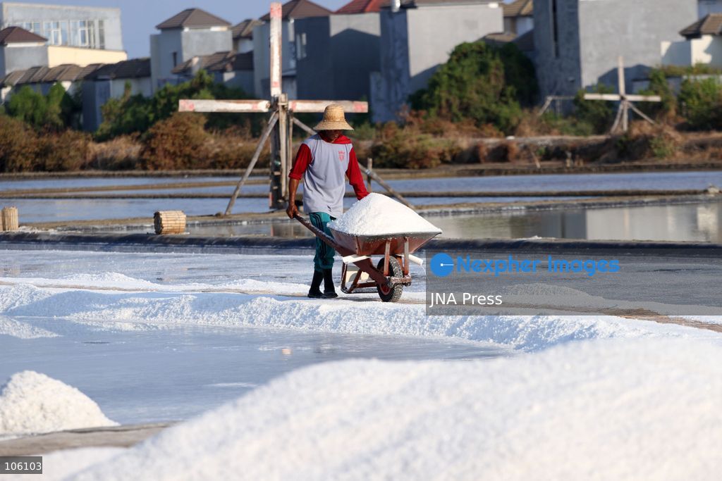 SIDOARJO, EAST JAVA, INDONESIA, OCTOBER 15, 2026: A worker harvests salt from evaporation ponds in Sedati district, Sidoarjo, East Java. Indonesia is seeking to expand domestic salt production and improve quality as part of its target to achieve salt self-sufficiency by 2027. Photo by Patrik Cahyo Lumintu / JNA Press. (Photo by Patrik Cahyo Lumintu/JNA Press via Nexpher Images)