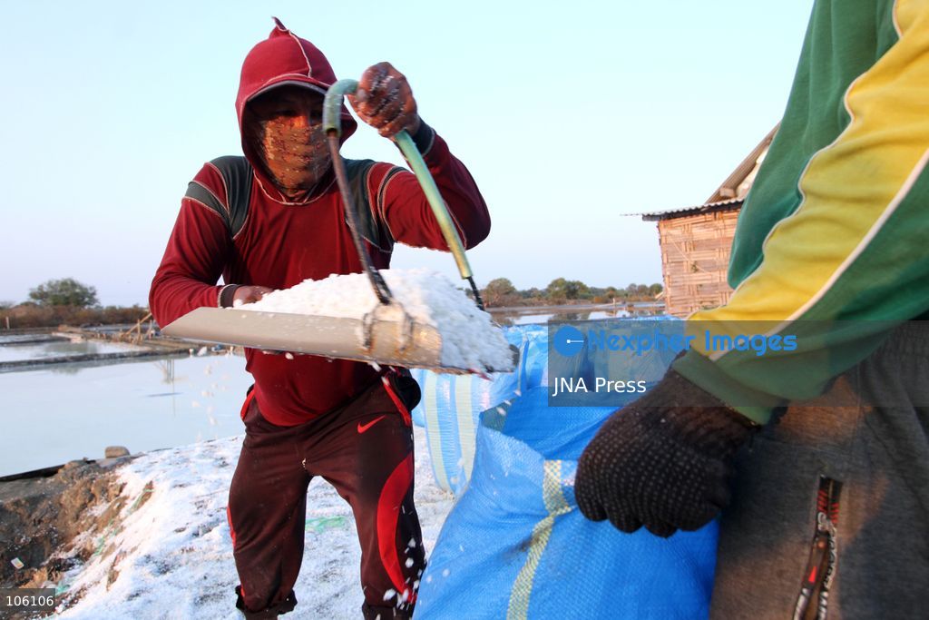 SIDOARJO, EAST JAVA, INDONESIA, OCTOBER 15, 2026: A worker harvests salt from evaporation ponds in Sedati district, Sidoarjo, East Java. Indonesia is seeking to expand domestic salt production and improve quality as part of its target to achieve salt self-sufficiency by 2027. Photo by Patrik Cahyo Lumintu / JNA Press. (Photo by Patrik Cahyo Lumintu/JNA Press via Nexpher Images)