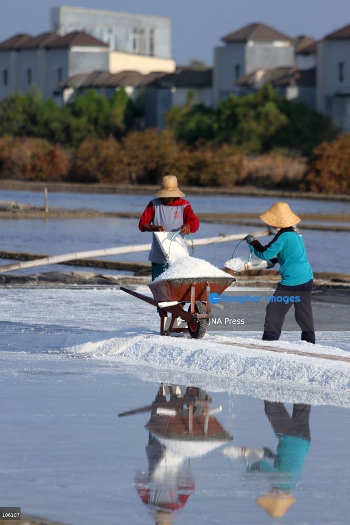 SIDOARJO, EAST JAVA, INDONESIA, OCTOBER 15, 2026: A worker harvests salt from evaporation ponds in Sedati district, Sidoarjo, East Java. Indonesia is seeking to expand domestic salt production and improve quality as part of its target to achieve salt self-sufficiency by 2027. Photo by Patrik Cahyo Lumintu / JNA Press. (Photo by Patrik Cahyo Lumintu/JNA Press via Nexpher Images)