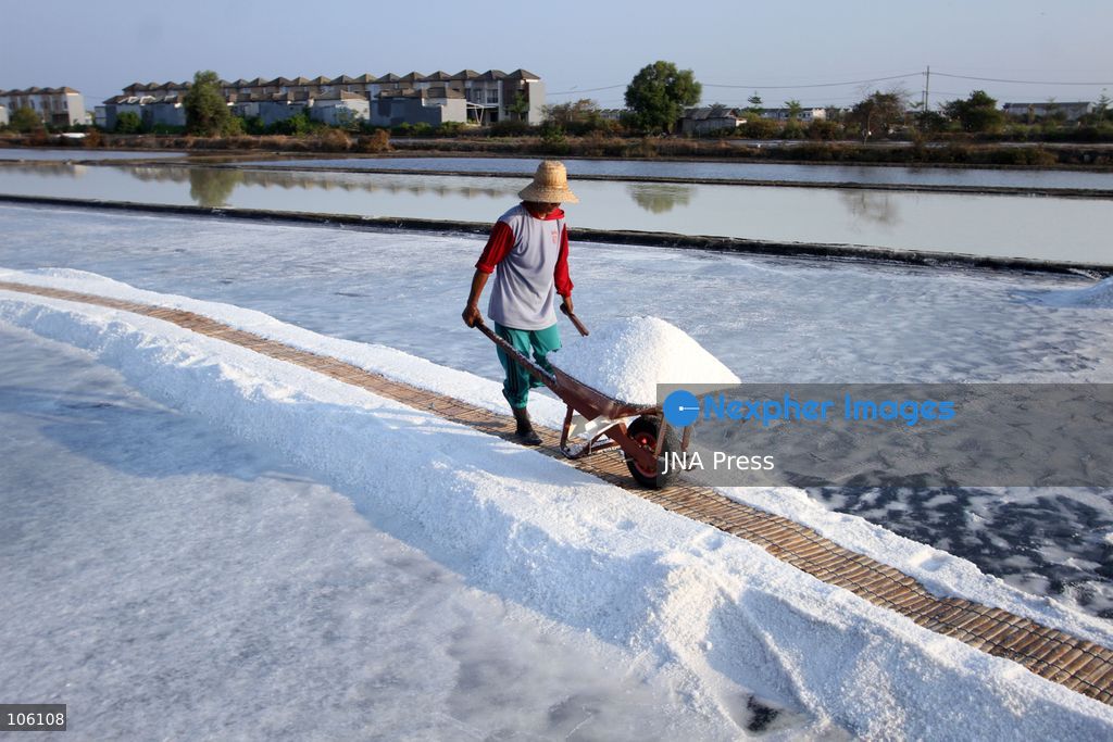 SIDOARJO, EAST JAVA, INDONESIA, OCTOBER 15, 2026: A worker harvests salt from evaporation ponds in Sedati district, Sidoarjo, East Java. Indonesia is seeking to expand domestic salt production and improve quality as part of its target to achieve salt self-sufficiency by 2027. Photo by Patrik Cahyo Lumintu / JNA Press. (Photo by Patrik Cahyo Lumintu/JNA Press via Nexpher Images)