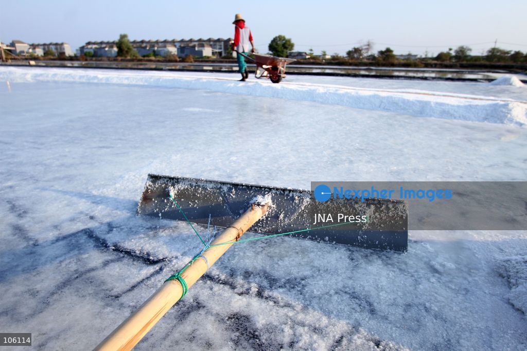 SIDOARJO, EAST JAVA, INDONESIA, OCTOBER 15, 2026: A worker harvests salt from evaporation ponds in Sedati district, Sidoarjo, East Java. Indonesia is seeking to expand domestic salt production and improve quality as part of its target to achieve salt self-sufficiency by 2027. Photo by Patrik Cahyo Lumintu / JNA Press. (Photo by Patrik Cahyo Lumintu/JNA Press via Nexpher Images)