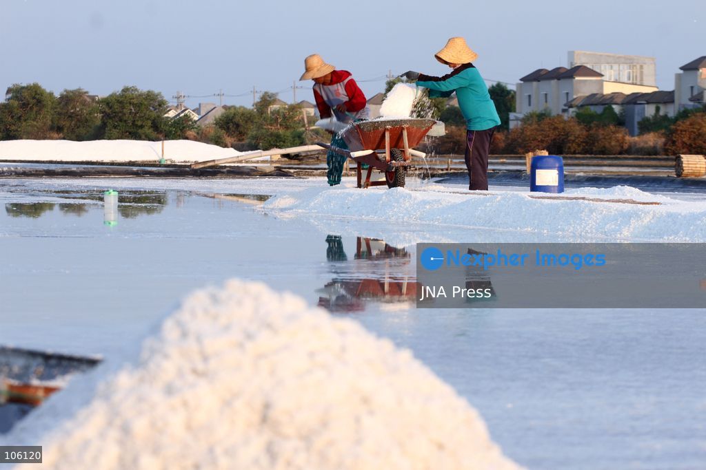 SIDOARJO, EAST JAVA, INDONESIA, OCTOBER 15, 2026: A worker harvests salt from evaporation ponds in Sedati district, Sidoarjo, East Java. Indonesia is seeking to expand domestic salt production and improve quality as part of its target to achieve salt self-sufficiency by 2027. Photo by Patrik Cahyo Lumintu / JNA Press. (Photo by Patrik Cahyo Lumintu/JNA Press via Nexpher Images)