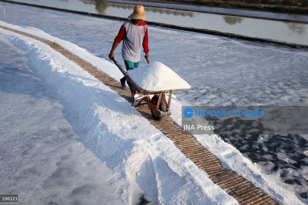 SIDOARJO, EAST JAVA, INDONESIA, OCTOBER 15, 2026: A worker harvests salt from evaporation ponds in Sedati district, Sidoarjo, East Java. Indonesia is seeking to expand domestic salt production and improve quality as part of its target to achieve salt self-sufficiency by 2027. Photo by Patrik Cahyo Lumintu / JNA Press. (Photo by Patrik Cahyo Lumintu/JNA Press via Nexpher Images)