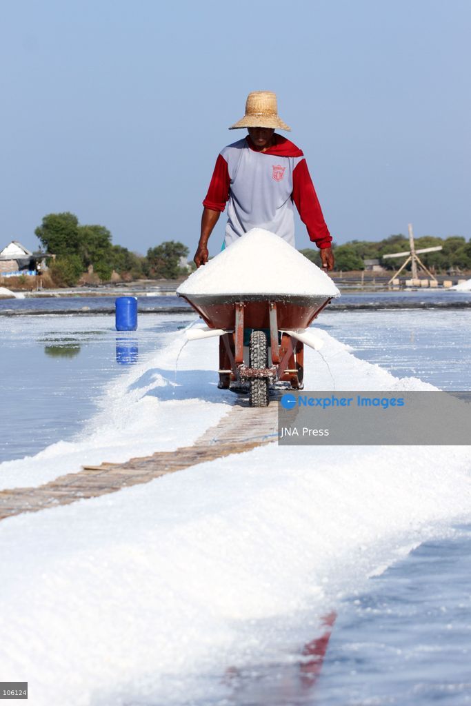 SIDOARJO, EAST JAVA, INDONESIA, OCTOBER 15, 2026: A worker harvests salt from evaporation ponds in Sedati district, Sidoarjo, East Java. Indonesia is seeking to expand domestic salt production and improve quality as part of its target to achieve salt self-sufficiency by 2027. Photo by Patrik Cahyo Lumintu / JNA Press. (Photo by Patrik Cahyo Lumintu/JNA Press via Nexpher Images)