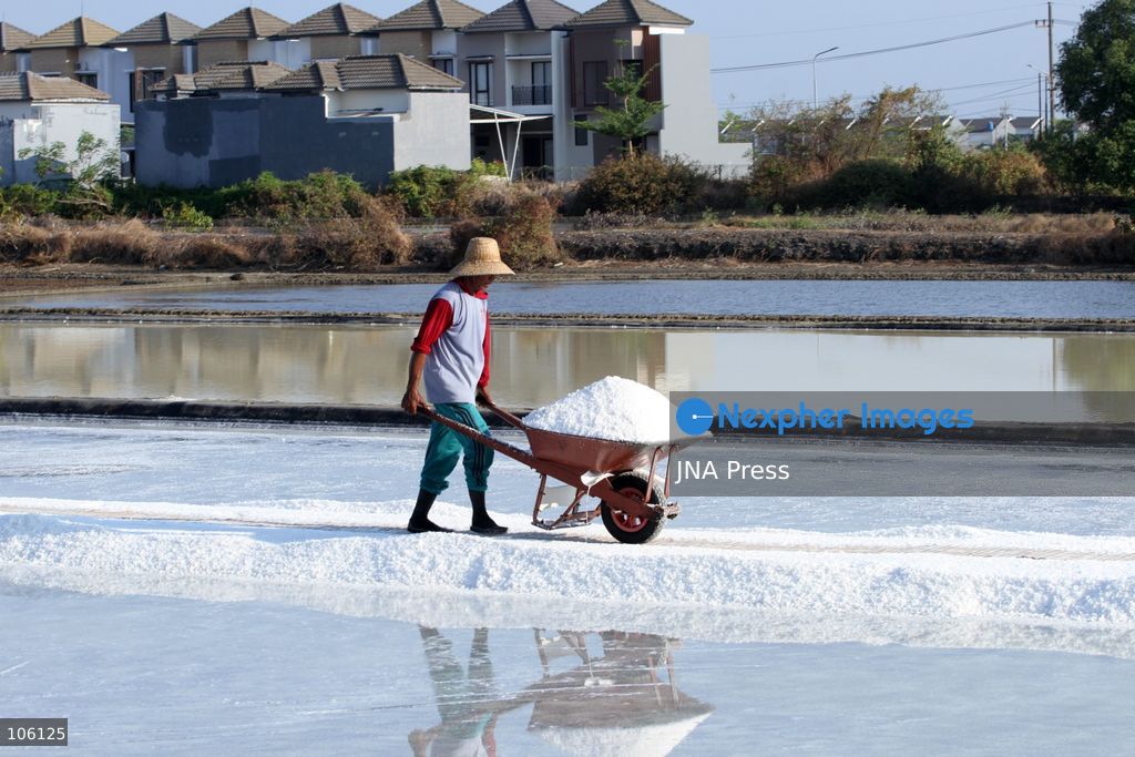 SIDOARJO, EAST JAVA, INDONESIA, OCTOBER 15, 2026: A worker harvests salt from evaporation ponds in Sedati district, Sidoarjo, East Java. Indonesia is seeking to expand domestic salt production and improve quality as part of its target to achieve salt self-sufficiency by 2027. Photo by Patrik Cahyo Lumintu / JNA Press. (Photo by Patrik Cahyo Lumintu/JNA Press via Nexpher Images)