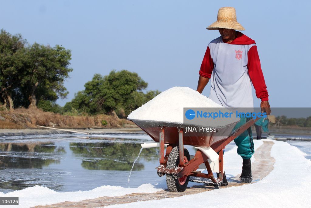 SIDOARJO, EAST JAVA, INDONESIA, OCTOBER 15, 2026: A worker harvests salt from evaporation ponds in Sedati district, Sidoarjo, East Java. Indonesia is seeking to expand domestic salt production and improve quality as part of its target to achieve salt self-sufficiency by 2027. Photo by Patrik Cahyo Lumintu / JNA Press. (Photo by Patrik Cahyo Lumintu/JNA Press via Nexpher Images)