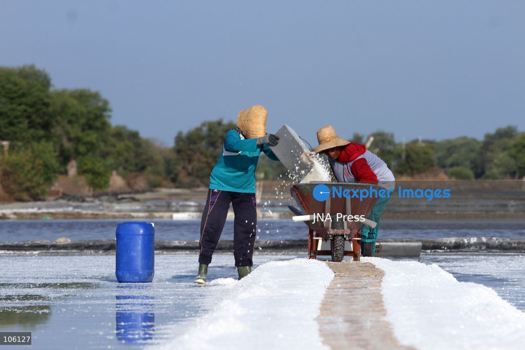SIDOARJO, EAST JAVA, INDONESIA, OCTOBER 15, 2026: A worker harvests salt from evaporation ponds in Sedati district, Sidoarjo, East Java. Indonesia is seeking to expand domestic salt production and improve quality as part of its target to achieve salt self-sufficiency by 2027. Photo by Patrik Cahyo Lumintu / JNA Press. (Photo by Patrik Cahyo Lumintu/JNA Press via Nexpher Images)