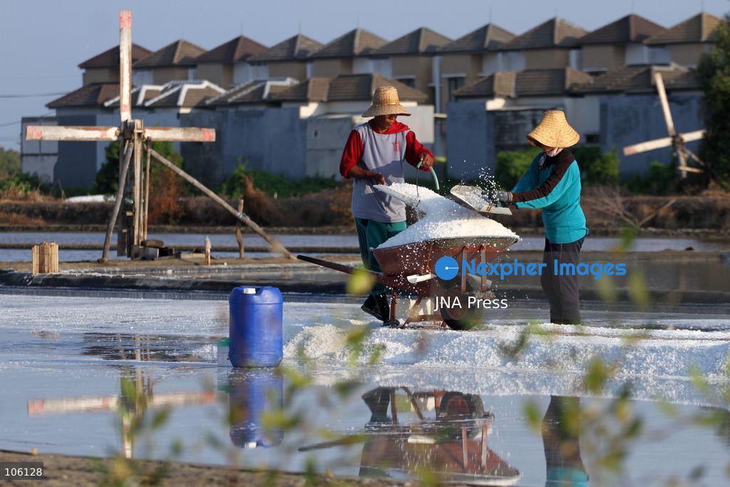 SIDOARJO, EAST JAVA, INDONESIA, OCTOBER 15, 2026: A worker harvests salt from evaporation ponds in Sedati district, Sidoarjo, East Java. Indonesia is seeking to expand domestic salt production and improve quality as part of its target to achieve salt self-sufficiency by 2027. Photo by Patrik Cahyo Lumintu / JNA Press. (Photo by Patrik Cahyo Lumintu/JNA Press via Nexpher Images)