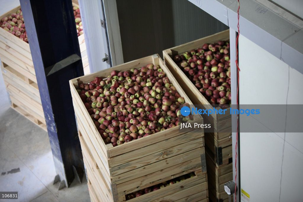 ANANTNAG, JAMMU AND KASHMIR, INDIA, OCTOBER 17, 2026: A cold storage facility in Anantnag, where refrigerated storage helps fruit growers preserve their produce and manage supplies beyond the harvest season. Apples are a major crop supporting Kashmir’s horticultural economy. Photo by Hilal Zargar / JNA Press. (Photo by Hilal Zargar/JNA Press via Nexpher Images)