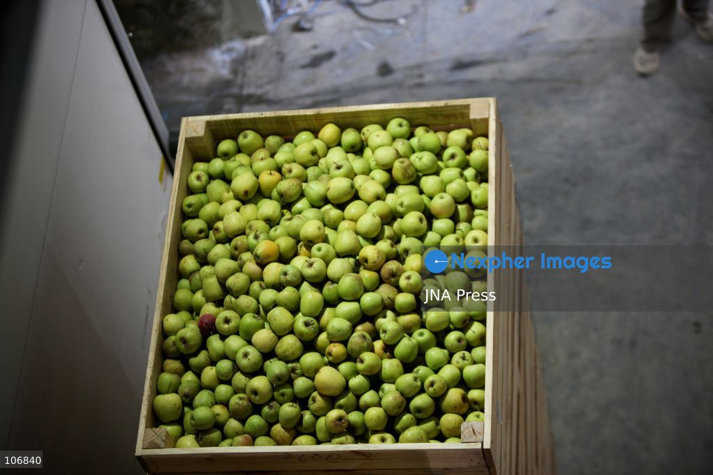 ANANTNAG, JAMMU AND KASHMIR, INDIA, OCTOBER 17, 2026: A cold storage facility in Anantnag, where refrigerated storage helps fruit growers preserve their produce and manage supplies beyond the harvest season. Apples are a major crop supporting Kashmir’s horticultural economy. Photo by Hilal Zargar / JNA Press. (Photo by Hilal Zargar/JNA Press via Nexpher Images)