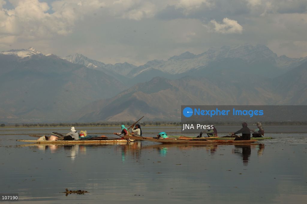 BANDIPORA, INDIA - OCTOBER 19, 2026: Fishermen cast their nets while women and other workers collect water chestnuts at Wular Lake in Bandipora district of Kashmir. Many families in the area earn their livelihoods from the lake's waters. (Photo by Kamran Yousuf/JNA Press via Nexpher Images)