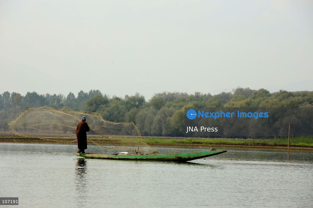 BANDIPORA, INDIA - OCTOBER 19, 2026: Fishermen cast their nets while women and other workers collect water chestnuts at Wular Lake in Bandipora district of Kashmir. Many families in the area earn their livelihoods from the lake's waters. (Photo by Kamran Yousuf/JNA Press via Nexpher Images)