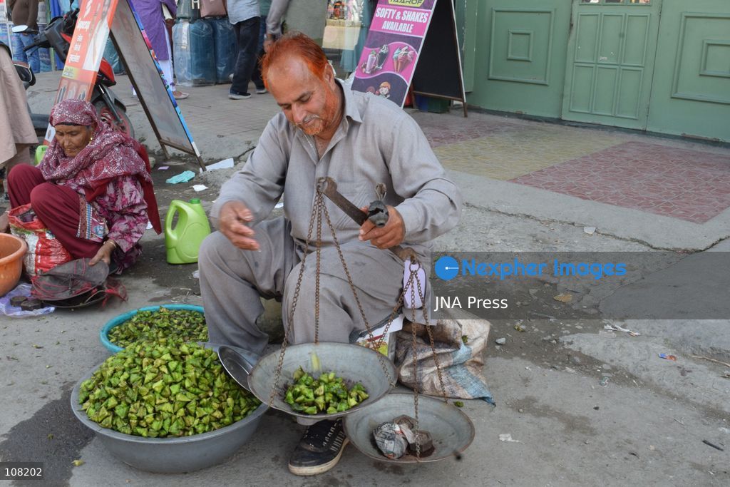 BANDIPORA, JAMMU AND KASHMIR, INDIA - OCTOBER 20, 2026: Local residents harvest water chestnuts in the wetlands. The traditional harvest is a source of livelihood for local communities that depend on these wetlands. (Photo by Mohsin Mushtaq Bhat/JNA Press via Nexpher Images)