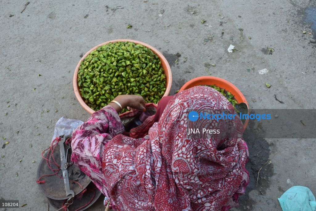 BANDIPORA, JAMMU AND KASHMIR, INDIA - OCTOBER 20, 2026: Local residents harvest water chestnuts in the wetlands. The traditional harvest is a source of livelihood for local communities that depend on these wetlands. (Photo by Mohsin Mushtaq Bhat/JNA Press via Nexpher Images)