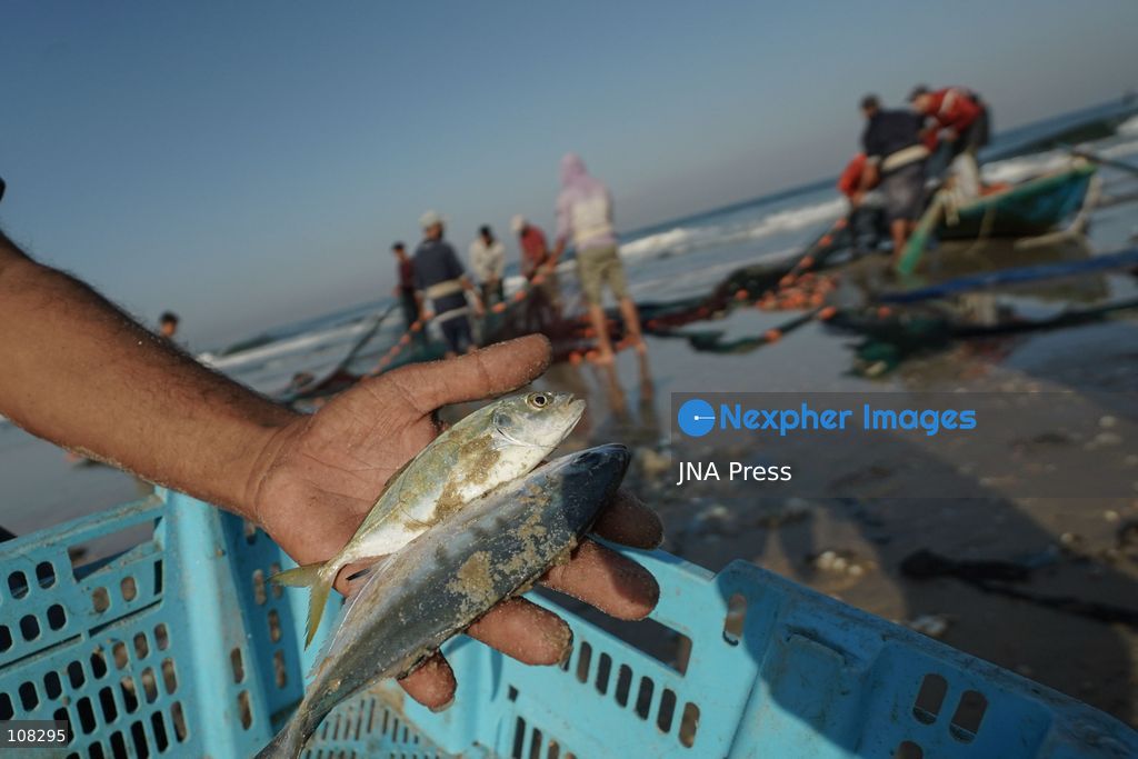 WADI GAZA, PALESTINE, OCTOBER 22, 2026: Palestinian fishermen fish near the mouth of Wadi Gaza in the central Gaza Strip as they seek to earn a living amid Israeli restrictions on fishing and deteriorating economic conditions. Damage to sewage infrastructure and the discharge of untreated wastewater into the sea have compounded environmental concerns along Gaza’s coast, adding to the difficulties facing fishing communities. (Photo by Ramzi Abu Amer/JNA Press via Nexpher Images)