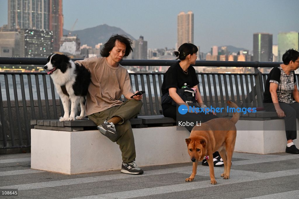 People with their dogs at waterfront near the Victoria Harbour on October 23, 2026 in Hong Kong. (Photo by Kobe Li/Nexpher Images)