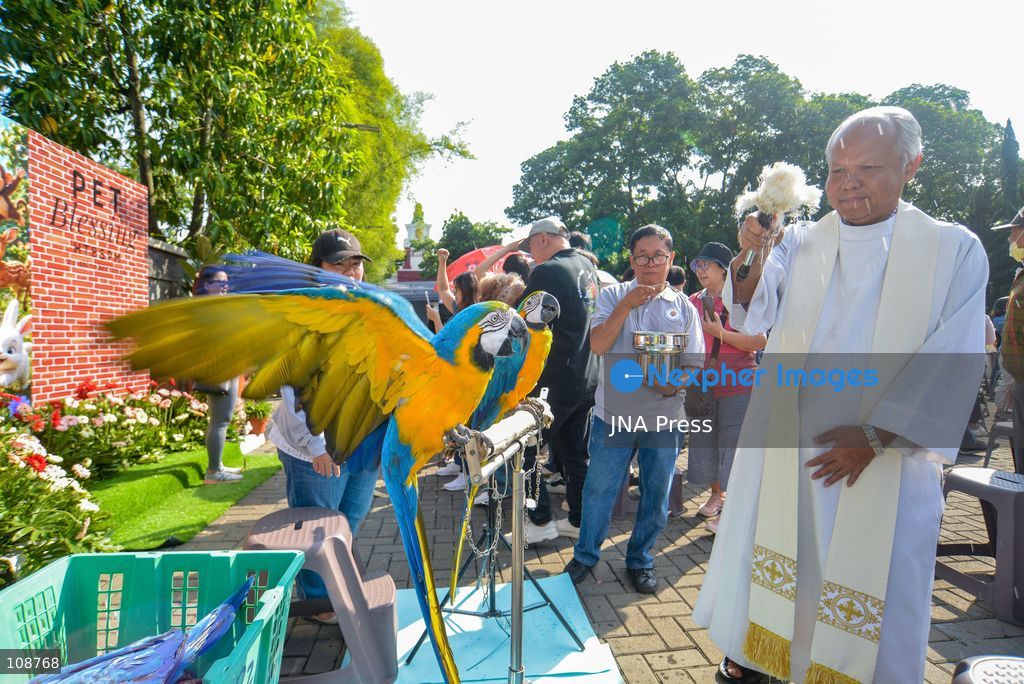 BANDUNG, INDONESIA, OCTOBER 24, 2026: Catholics bring their pets for a blessing at Buah Batu Catholic Church in Bandung, West Java. The ceremony honours St. Francis of Assisi and highlights care and compassion for animals. (Photo by Khairizal Maris/JNA Press via Nexpher Images)
