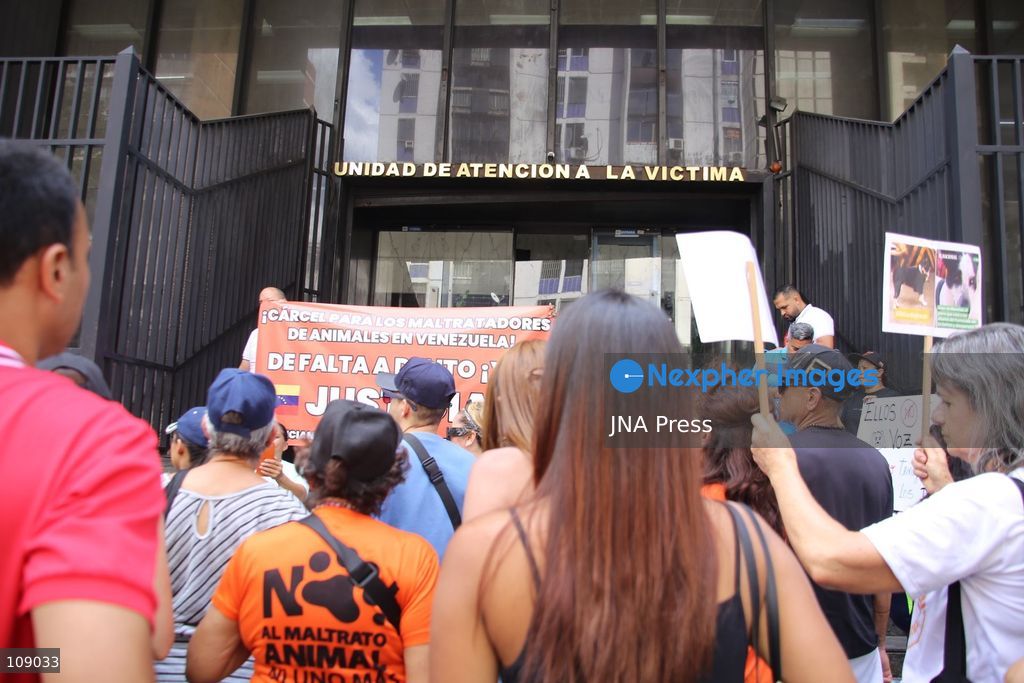 CARACAS, VENEZUELA, OCTOBER 24, 2026: Animal rights activists demonstrate in Caracas, calling for stronger legislation against animal abuse and justice for animals harmed or killed across Venezuela. Participants demand tougher penalties for offenders and greater action by authorities to investigate complaints and protect animals. (Photo by Moisés Quintero/JNA Press via Nexpher Images)