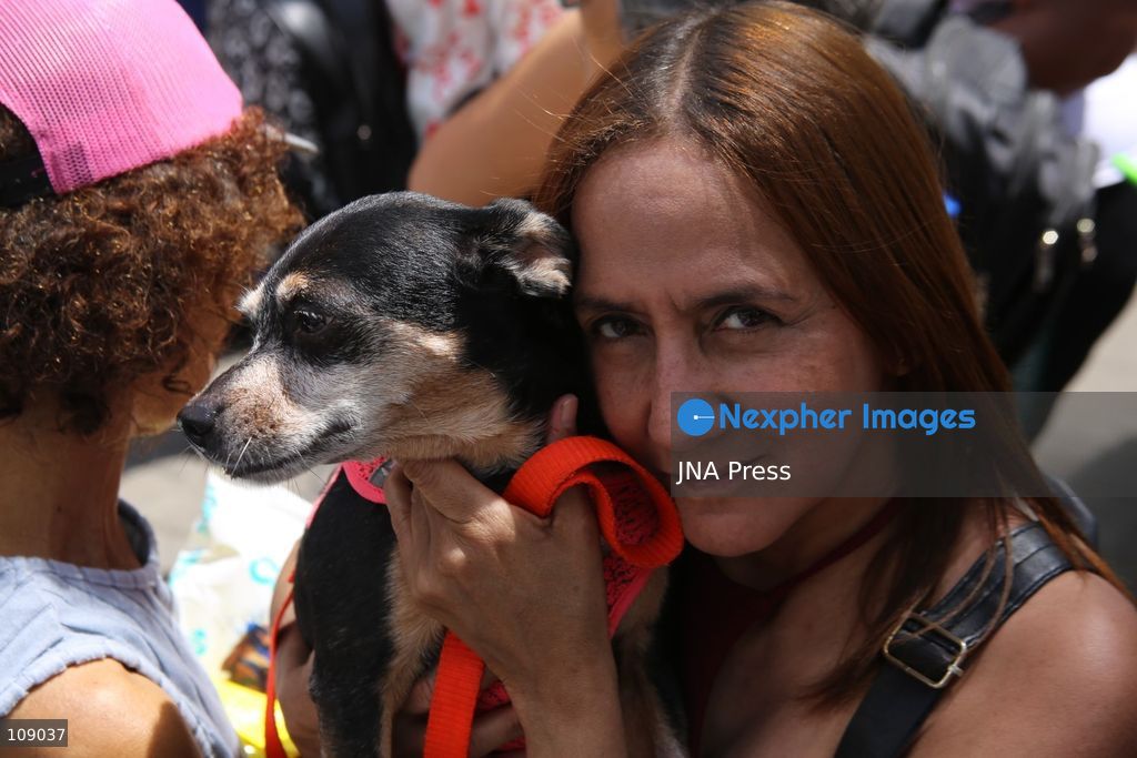CARACAS, VENEZUELA, OCTOBER 24, 2026: Animal rights activists demonstrate in Caracas, calling for stronger legislation against animal abuse and justice for animals harmed or killed across Venezuela. Participants demand tougher penalties for offenders and greater action by authorities to investigate complaints and protect animals. (Photo by Moisés Quintero/JNA Press via Nexpher Images)