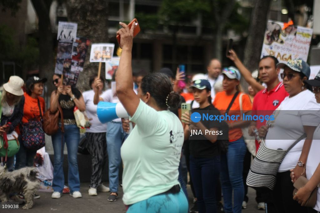 CARACAS, VENEZUELA, OCTOBER 24, 2026: Animal rights activists demonstrate in Caracas, calling for stronger legislation against animal abuse and justice for animals harmed or killed across Venezuela. Participants demand tougher penalties for offenders and greater action by authorities to investigate complaints and protect animals. (Photo by Moisés Quintero/JNA Press via Nexpher Images)