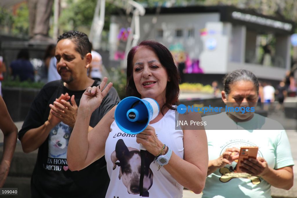 CARACAS, VENEZUELA, OCTOBER 24, 2026: Animal rights activists demonstrate in Caracas, calling for stronger legislation against animal abuse and justice for animals harmed or killed across Venezuela. Participants demand tougher penalties for offenders and greater action by authorities to investigate complaints and protect animals. (Photo by Moisés Quintero/JNA Press via Nexpher Images)