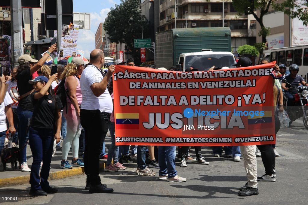 CARACAS, VENEZUELA, OCTOBER 24, 2026: Animal rights activists demonstrate in Caracas, calling for stronger legislation against animal abuse and justice for animals harmed or killed across Venezuela. Participants demand tougher penalties for offenders and greater action by authorities to investigate complaints and protect animals. (Photo by Moisés Quintero/JNA Press via Nexpher Images)