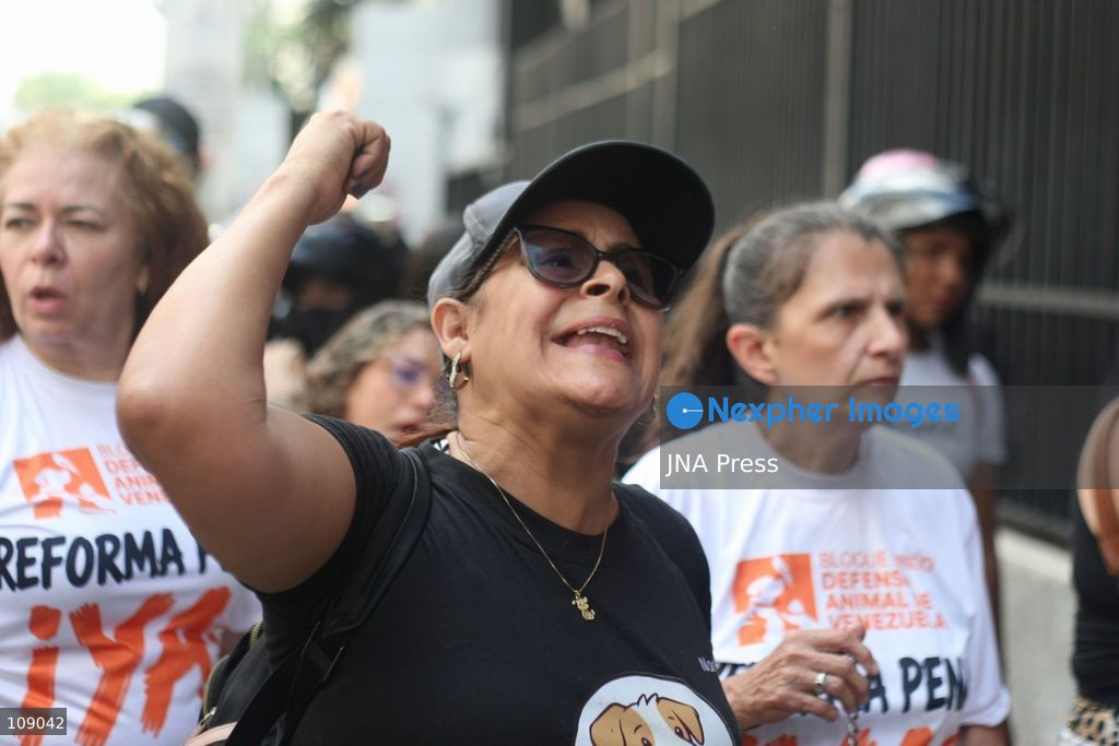 CARACAS, VENEZUELA, OCTOBER 24, 2026: Animal rights activists demonstrate in Caracas, calling for stronger legislation against animal abuse and justice for animals harmed or killed across Venezuela. Participants demand tougher penalties for offenders and greater action by authorities to investigate complaints and protect animals. (Photo by Moisés Quintero/JNA Press via Nexpher Images)