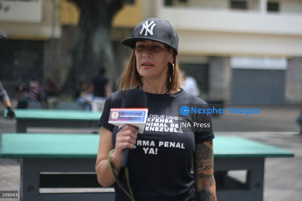 CARACAS, VENEZUELA, OCTOBER 24, 2026: Animal rights activists demonstrate in Caracas, calling for stronger legislation against animal abuse and justice for animals harmed or killed across Venezuela. Participants demand tougher penalties for offenders and greater action by authorities to investigate complaints and protect animals. (Photo by Moisés Quintero/JNA Press via Nexpher Images)