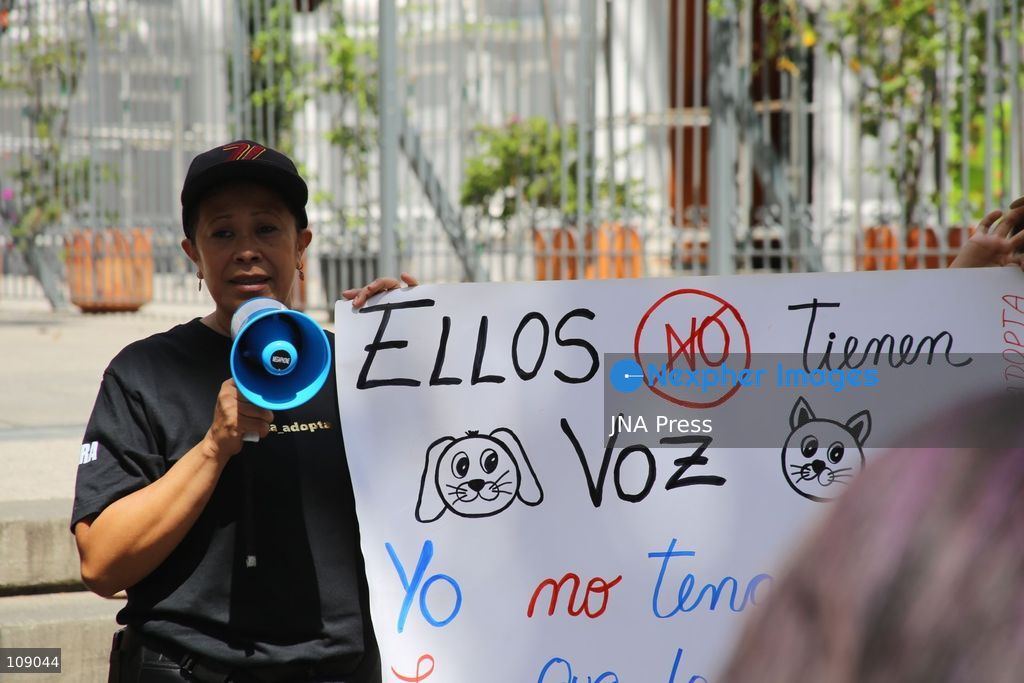 CARACAS, VENEZUELA, OCTOBER 24, 2026: Animal rights activists demonstrate in Caracas, calling for stronger legislation against animal abuse and justice for animals harmed or killed across Venezuela. Participants demand tougher penalties for offenders and greater action by authorities to investigate complaints and protect animals. (Photo by Moisés Quintero/JNA Press via Nexpher Images)