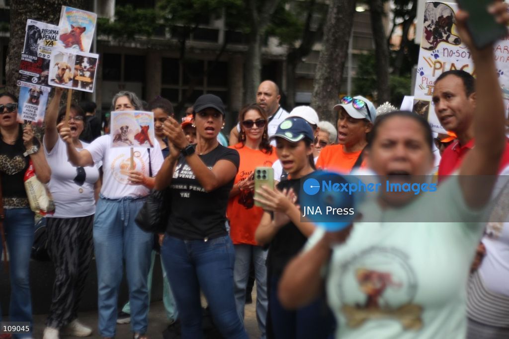 CARACAS, VENEZUELA, OCTOBER 24, 2026: Animal rights activists demonstrate in Caracas, calling for stronger legislation against animal abuse and justice for animals harmed or killed across Venezuela. Participants demand tougher penalties for offenders and greater action by authorities to investigate complaints and protect animals. (Photo by Moisés Quintero/JNA Press via Nexpher Images)