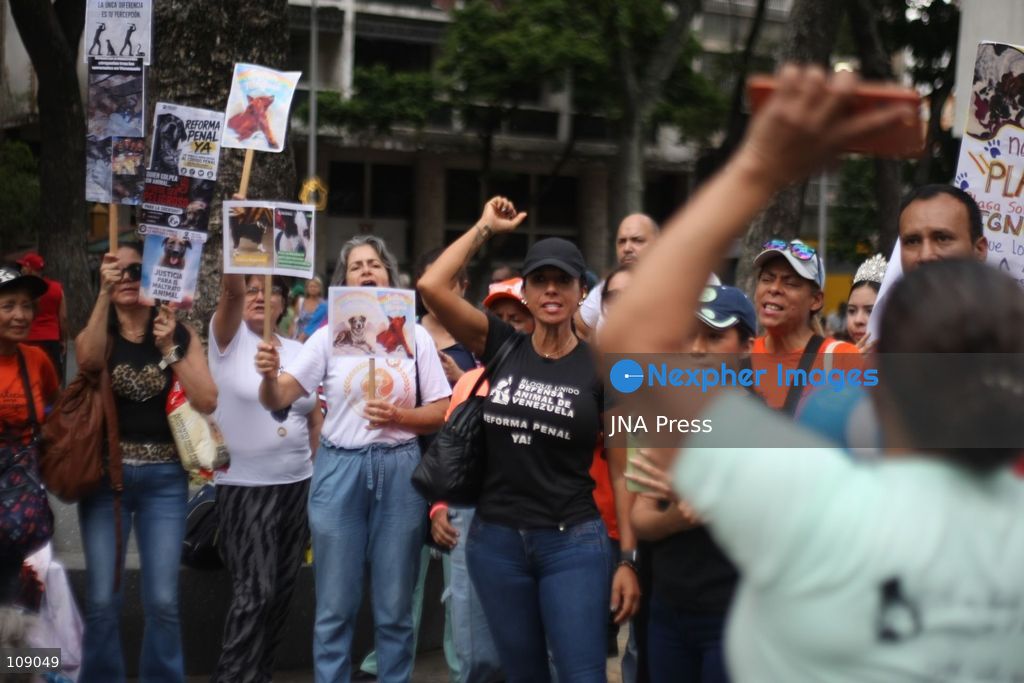 CARACAS, VENEZUELA, OCTOBER 24, 2026: Animal rights activists demonstrate in Caracas, calling for stronger legislation against animal abuse and justice for animals harmed or killed across Venezuela. Participants demand tougher penalties for offenders and greater action by authorities to investigate complaints and protect animals. (Photo by Moisés Quintero/JNA Press via Nexpher Images)