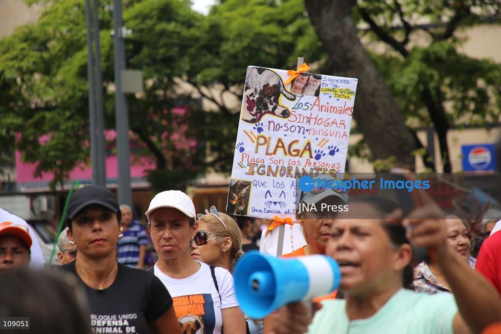 CARACAS, VENEZUELA, OCTOBER 24, 2026: Animal rights activists demonstrate in Caracas, calling for stronger legislation against animal abuse and justice for animals harmed or killed across Venezuela. Participants demand tougher penalties for offenders and greater action by authorities to investigate complaints and protect animals. (Photo by Moisés Quintero/JNA Press via Nexpher Images)