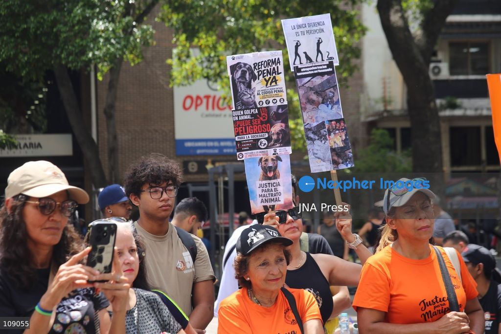 CARACAS, VENEZUELA, OCTOBER 24, 2026: Animal rights activists demonstrate in Caracas, calling for stronger legislation against animal abuse and justice for animals harmed or killed across Venezuela. Participants demand tougher penalties for offenders and greater action by authorities to investigate complaints and protect animals. (Photo by Moisés Quintero/JNA Press via Nexpher Images)